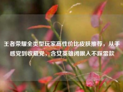 王者荣耀全类型玩家高性价比皮肤推荐，从手感党到收藏党，含女英雄闭眼入不踩雷款