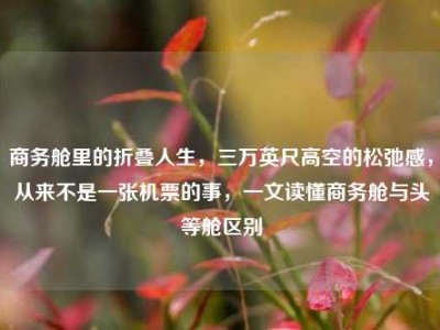 商务舱里的折叠人生，三万英尺高空的松弛感，从来不是一张机票的事，一文读懂商务舱与头等舱区别