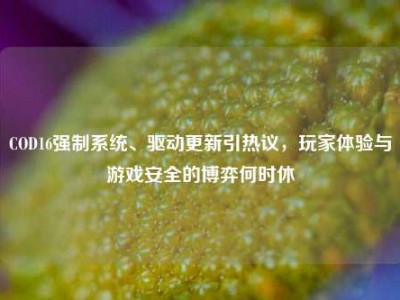 COD16强制系统、驱动更新引热议，玩家体验与游戏安全的博弈何时休