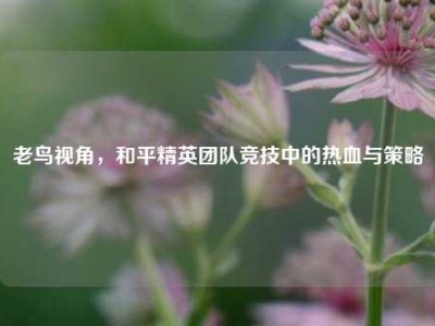 老鸟视角，和平精英团队竞技中的热血与策略