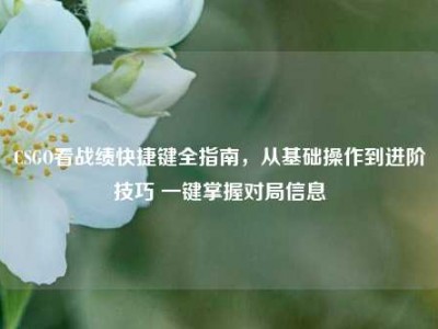 CSGO看战绩快捷键全指南，从基础操作到进阶技巧 一键掌握对局信息