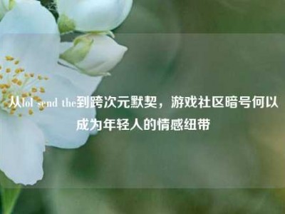 从lol send the到跨次元默契，游戏社区暗号何以成为年轻人的情感纽带