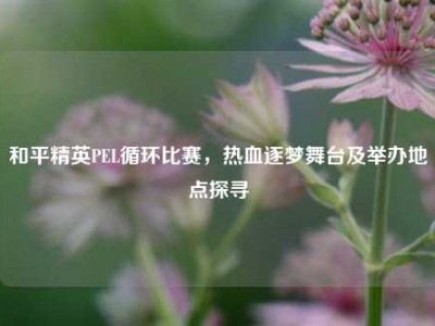 和平精英PEL循环比赛，热血逐梦舞台及举办地点探寻