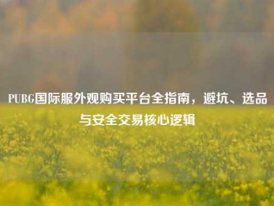 PUBG国际服外观购买平台全指南，避坑、选品与安全交易核心逻辑