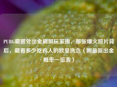 PUBG藏匿处出金刷屏玩家圈，那张爆火照片背后，藏着多少吃鸡人的欧皇执念（附最新出金概率一览表）