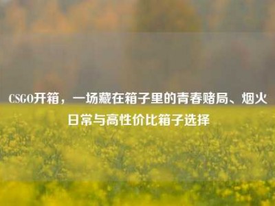CSGO开箱，一场藏在箱子里的青春赌局、烟火日常与高性价比箱子选择