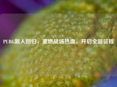 PUBG新人回归，重燃战场热血，开启全新征程