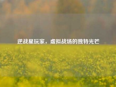 逆战星玩家，虚拟战场的独特光芒