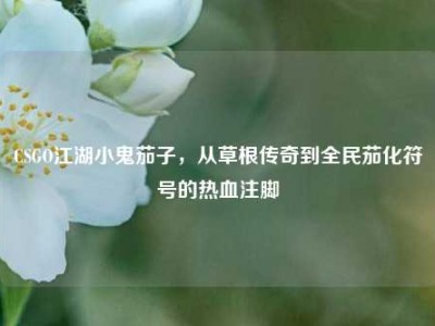 CSGO江湖小鬼茄子，从草根传奇到全民茄化符号的热血注脚