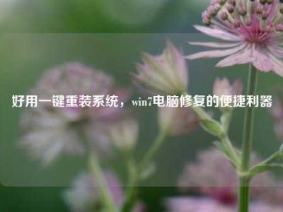 好用一键重装系统，win7电脑修复的便捷利器