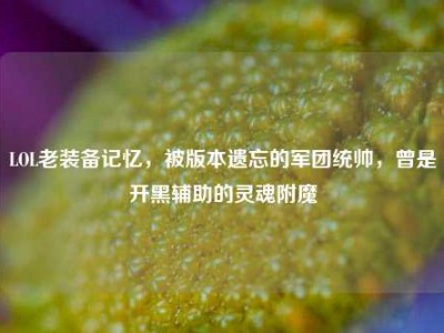 LOL老装备记忆，被版本遗忘的军团统帅，曾是开黑辅助的灵魂附魔