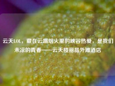 云天LOL，藏在云端烟火里的峡谷热爱，是我们未凉的青春——云天楼丽晶外滩酒店
