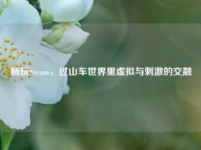 畅玩Steam，过山车世界里虚拟与刺激的交融
