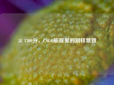 5E 1300分，CSGO旅程里的别样景致
