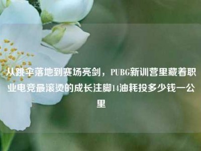 从跳伞落地到赛场亮剑，PUBG新训营里藏着职业电竞最滚烫的成长注脚14油耗投多少钱一公里
