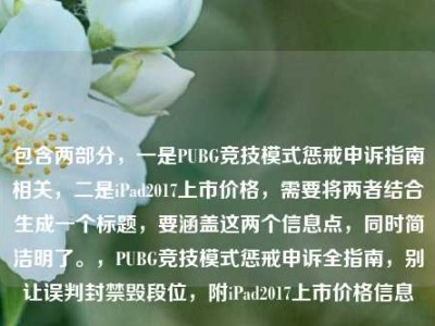 包含两部分，一是PUBG竞技模式惩戒申诉指南相关，二是iPad2017上市价格，需要将两者结合生成一个标题，要涵盖这两个信息点，同时简洁明了。，PUBG竞技模式惩戒申诉全指南，别让误判封禁毁段位，附iPad2017上市价格信息