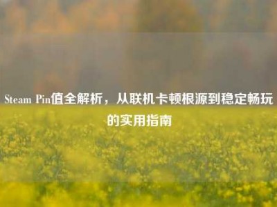 Steam Pin值全解析，从联机卡顿根源到稳定畅玩的实用指南