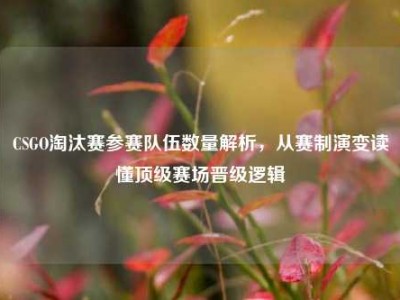 CSGO淘汰赛参赛队伍数量解析，从赛制演变读懂顶级赛场晋级逻辑
