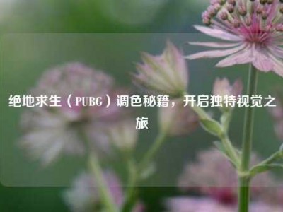 绝地求生（PUBG）调色秘籍，开启独特视觉之旅
