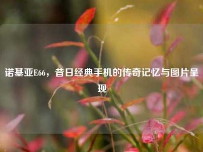 诺基亚E66，昔日经典手机的传奇记忆与图片呈现