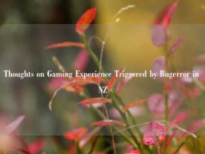 Thoughts on Gaming Experience Triggered by Bugerror in NZ
