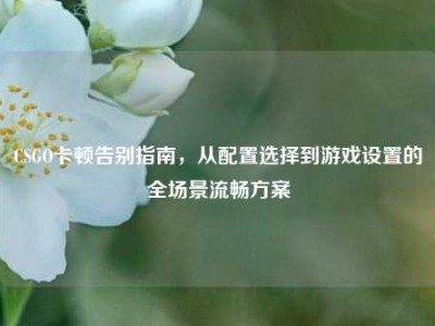 CSGO卡顿告别指南，从配置选择到游戏设置的全场景流畅方案