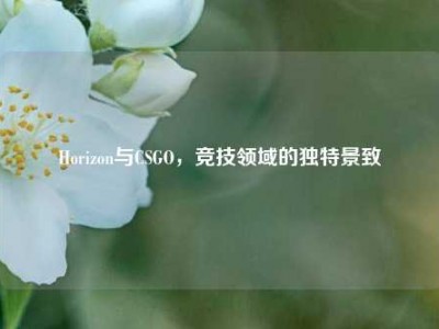 Horizon与CSGO，竞技领域的独特景致