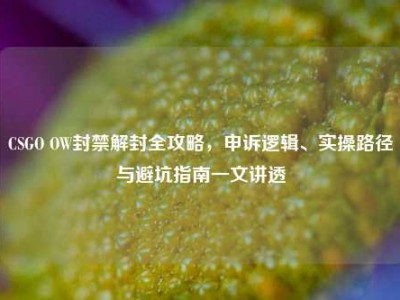 CSGO OW封禁解封全攻略，申诉逻辑、实操路径与避坑指南一文讲透