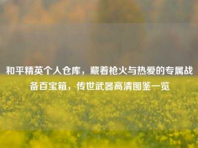 和平精英个人仓库，藏着枪火与热爱的专属战备百宝箱，传世武器高清图鉴一览