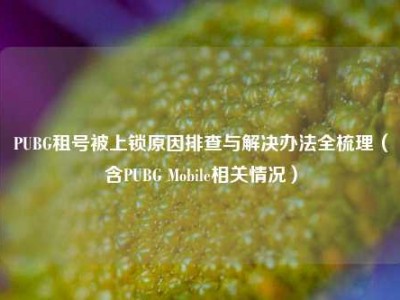 PUBG租号被上锁原因排查与解决办法全梳理（含PUBG Mobile相关情况）