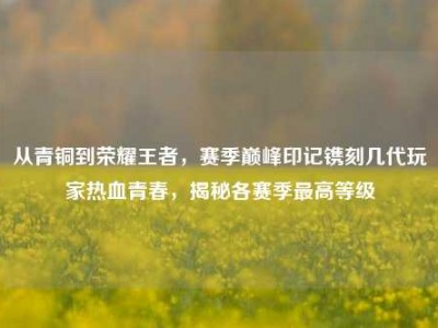 从青铜到荣耀王者，赛季巅峰印记镌刻几代玩家热血青春，揭秘各赛季最高等级