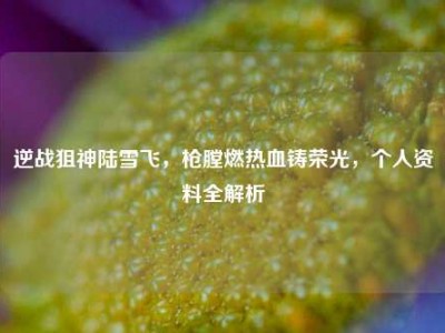 逆战狙神陆雪飞，枪膛燃热血铸荣光，个人资料全解析