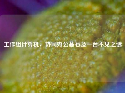 工作组计算机，协同办公基石及一台不见之谜