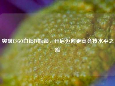 突破CSGO白银IV瓶颈，开启迈向更高竞技水平之旅