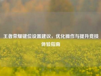 王者荣耀键位设置建议，优化操作与提升竞技体验指南