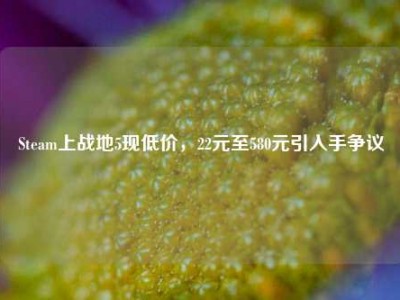 Steam上战地5现低价，22元至580元引入手争议