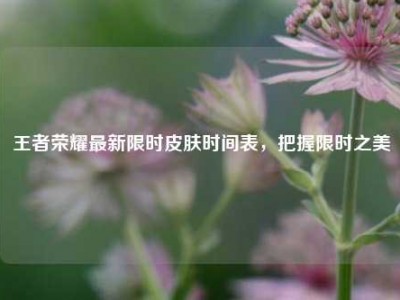 王者荣耀最新限时皮肤时间表，把握限时之美