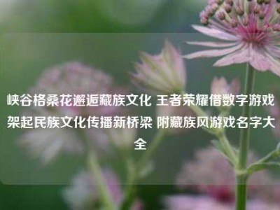 峡谷格桑花邂逅藏族文化 王者荣耀借数字游戏架起民族文化传播新桥梁 附藏族风游戏名字大全