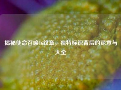揭秘使命召唤16纹章，独特标识背后的深意与大全
