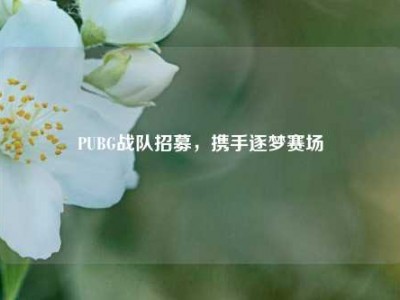 PUBG战队招募，携手逐梦赛场