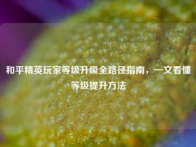 和平精英玩家等级升级全路径指南，一文看懂等级提升方法