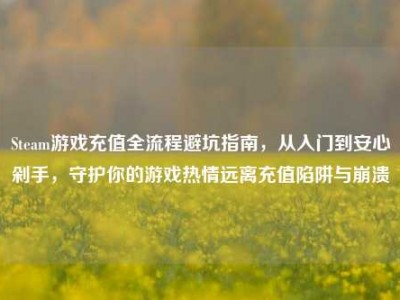 Steam游戏充值全流程避坑指南，从入门到安心剁手，守护你的游戏热情远离充值陷阱与崩溃