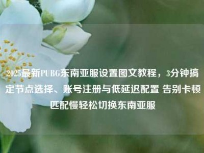 2025最新PUBG东南亚服设置图文教程，3分钟搞定节点选择、账号注册与低延迟配置 告别卡顿匹配慢轻松切换东南亚服