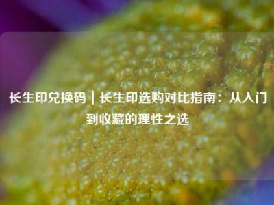 长生印兑换码｜长生印选购对比指南：从入门到收藏的理性之选
