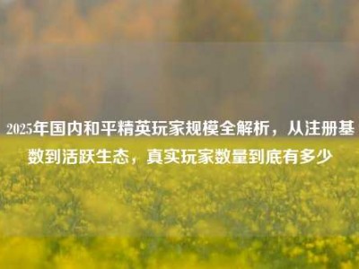 2025年国内和平精英玩家规模全解析，从注册基数到活跃生态，真实玩家数量到底有多少