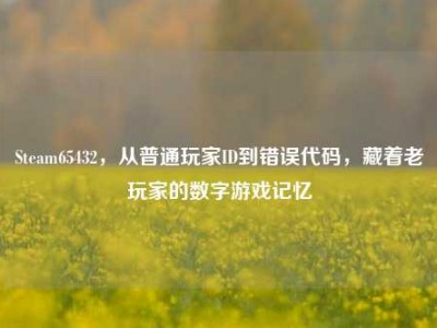 Steam65432，从普通玩家ID到错误代码，藏着老玩家的数字游戏记忆