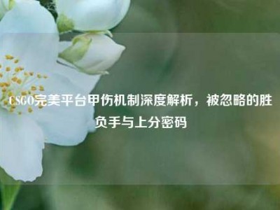 CSGO完美平台甲伤机制深度解析，被忽略的胜负手与上分密码
