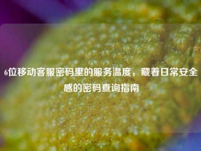 6位移动客服密码里的服务温度，藏着日常安全感的密码查询指南