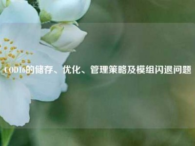 COD16的储存、优化、管理策略及模组闪退问题