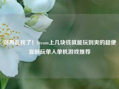 别再乱找了！Steam上几块钱就能玩到爽的超便宜耐玩单人单机游戏推荐